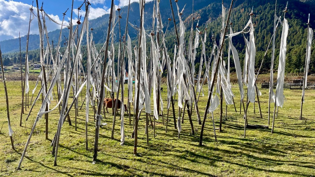 Phobjikha Valley Circuit